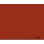 Raudona U3117 BS 18 mm (2800x2070)